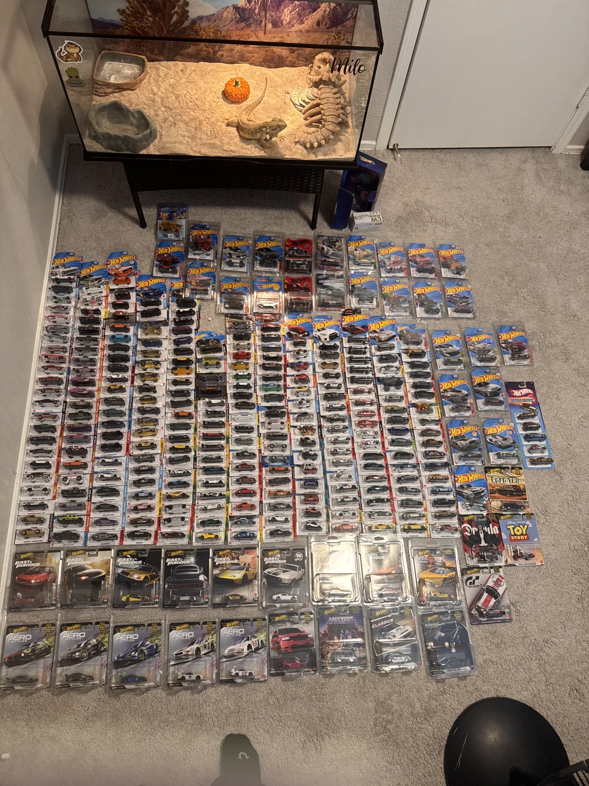 Collection photo